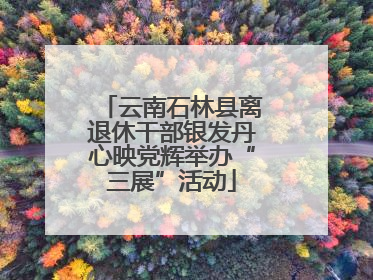 云南石林县离退休干部银发丹心映党辉举办“三展”活动