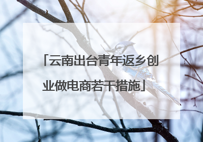 云南出台青年返乡创业做电商若干措施
