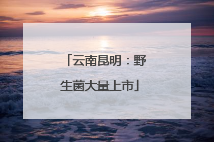 云南昆明：野生菌大量上市