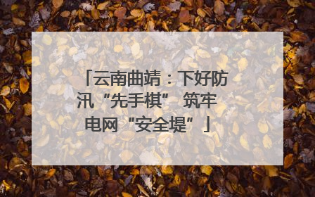 云南曲靖：下好防汛“先手棋” 筑牢电网“安全堤”