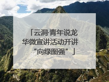 云洞·青年说龙华微宣讲活动开讲“向绿图强”