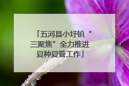 五河县小圩镇“三聚焦”全力推进夏种夏管工作