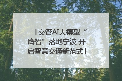 交管AI大模型“鹰智”落地宁波 开启智慧交通新范式