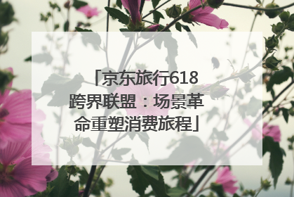 京东旅行618跨界联盟：场景革命重塑消费旅程