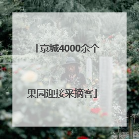 京城4000余个果园迎接采摘客