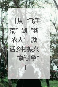 从“飞手荒”到“新农人” 激活乡村振兴“新引擎”