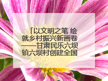 以文明之笔 绘就乡村振兴新画卷——甘肃民乐六坝镇六坝村创建全国文明村侧记