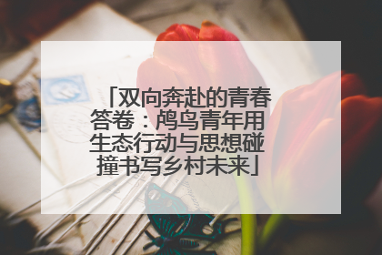 双向奔赴的青春答卷：鸬鸟青年用生态行动与思想碰撞书写乡村未来