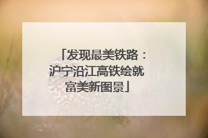 发现最美铁路：沪宁沿江高铁绘就富美新图景