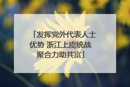 发挥党外代表人士优势 浙江上虞统战聚合力助共富