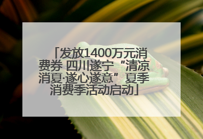 发放1400万元消费券 四川遂宁“清凉消夏·遂心遂意”夏季消费季活动启动