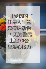 受伤的“汪星人”竟是保护动物！无为警民上演70公里爱心接力