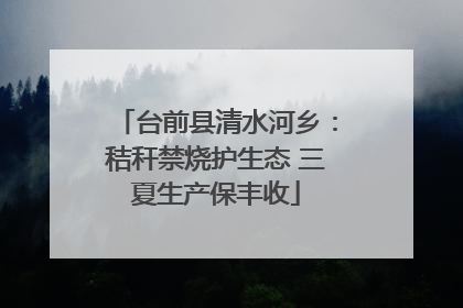 台前县清水河乡：秸秆禁烧护生态 三夏生产保丰收