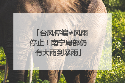 台风停编≠风雨停止！南宁局部仍有大雨到暴雨
