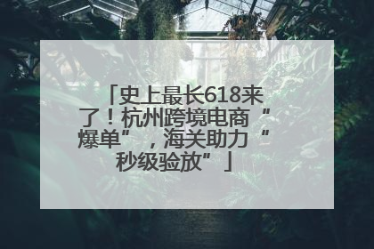 史上最长618来了！杭州跨境电商“爆单”，海关助力“秒级验放”