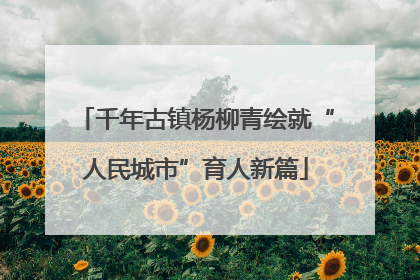 千年古镇杨柳青绘就“人民城市”育人新篇