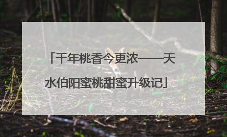 千年桃香今更浓——天水伯阳蜜桃甜蜜升级记