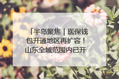 半岛聚焦｜医保钱包开通地区再扩容！山东全域范围内已开通，有何用处？如何操作？速戳→