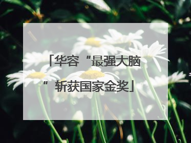 华容“最强大脑”斩获国家金奖