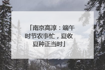 南京高淳：端午时节农事忙，夏收夏种正当时