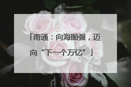 南通：向海图强，迈向“下一个万亿”