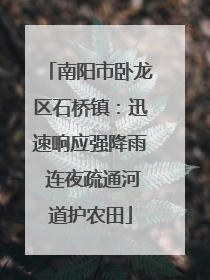 南阳市卧龙区石桥镇：迅速响应强降雨 连夜疏通河道护农田