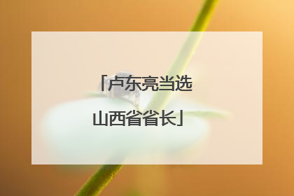 卢东亮当选山西省省长