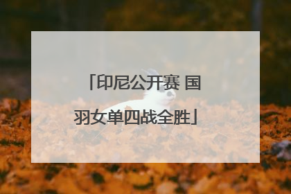 印尼公开赛 国羽女单四战全胜