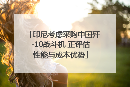 印尼考虑采购中国歼-10战斗机 正评估性能与成本优势
