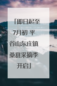 即日起至7月初 平谷山东庄镇桑葚采摘季开启