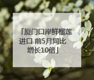 厦门口岸鲜榴莲进口 前5月同比增长10倍