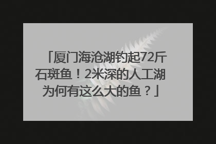 厦门海沧湖钓起72斤石斑鱼！2米深的人工湖为何有这么大的鱼？