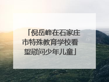 倪岳峰在石家庄市特殊教育学校看望慰问少年儿童