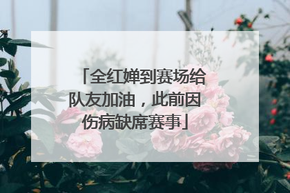 全红婵到赛场给队友加油，此前因伤病缺席赛事