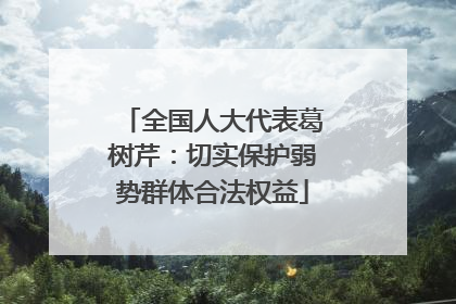 全国人大代表葛树芹：切实保护弱势群体合法权益