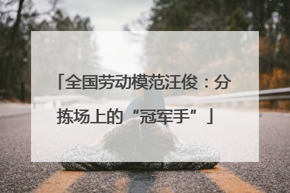 全国劳动模范汪俊：分拣场上的“冠军手”