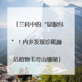 兰科中的“显眼包”！内乡发现珍稀濒危植物毛萼山珊瑚