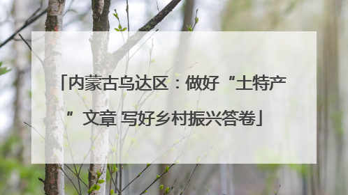 内蒙古乌达区：做好“土特产”文章 写好乡村振兴答卷