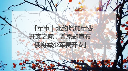 军事｜北约增加军费开支之际，普京却宣布俄将减少军费开支