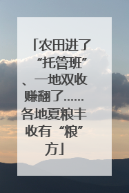 农田进了“托管班”、一地双收赚翻了……各地夏粮丰收有“粮”方