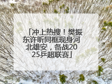 冲上热搜!樊振东许昕同框现身河北雄安,备战2025乒超联赛