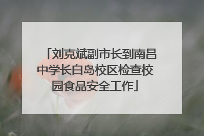 刘克斌副市长到南昌中学长白岛校区检查校园食品安全工作