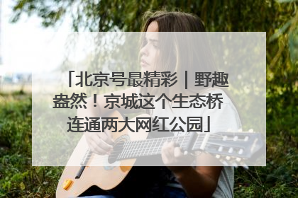 北京号最精彩｜野趣盎然！京城这个生态桥连通两大网红公园