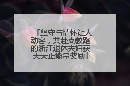坚守与情怀让人动容，共赴支教路的浙江退休夫妇获天天正能量奖励
