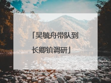吴毓舟带队到长卿镇调研