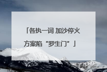 各执一词 加沙停火方案陷“罗生门”