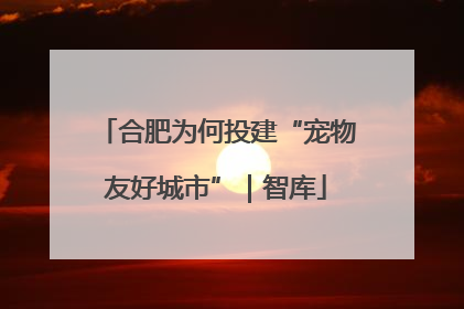 合肥为何投建“宠物友好城市”｜智库