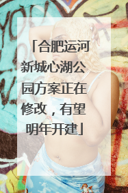 合肥运河新城心湖公园方案正在修改，有望明年开建