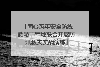 同心筑牢安全防线 醴陵市军地联合开展防汛救灾实战演练