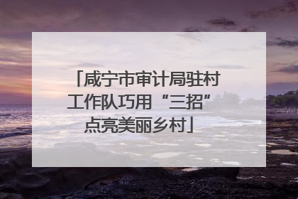 咸宁市审计局驻村工作队巧用“三招”点亮美丽乡村